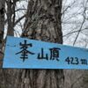 〈ご当地アルプス〉日連アルプス - 画像 (2)