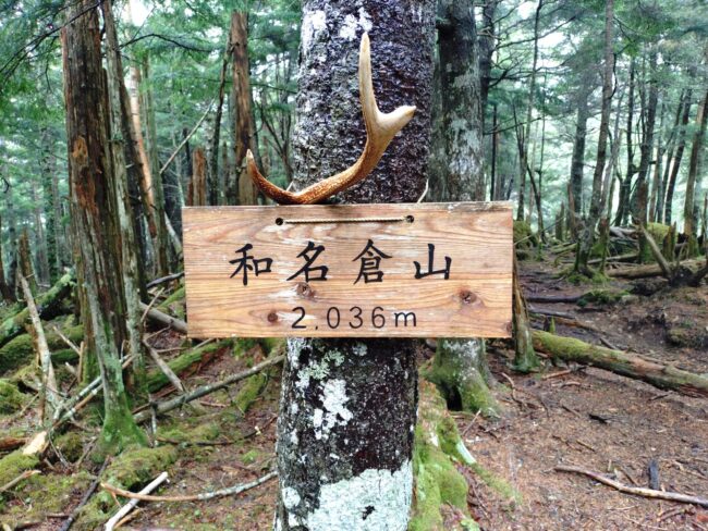 和名倉山～秩父湖縦走