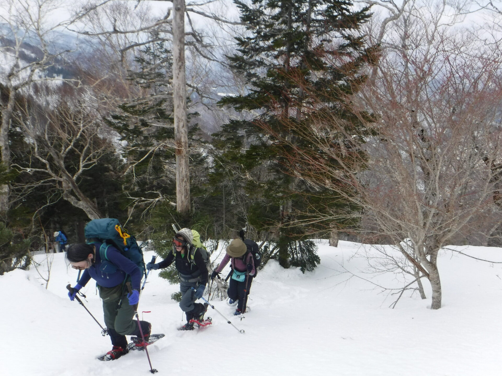 男鹿岳ピストン登頂 - 画像 (2)