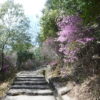 六甲全山縦走 - 画像 (8)