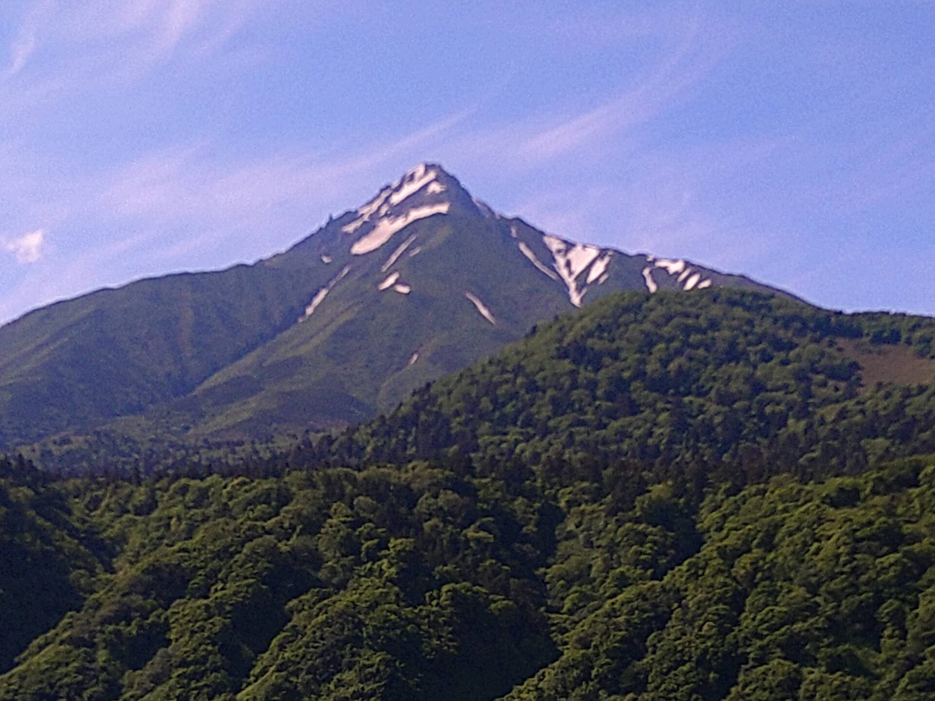 利尻山・礼文島フラワーウォッチング