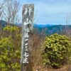 ヒカゲツツジ咲く坪山① - 画像 (2)