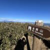 天城山＆伊豆山稜線(達磨山～金冠山) - 画像 (4)