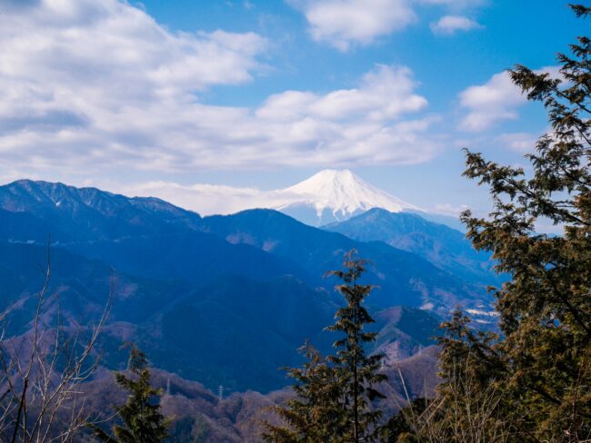 高畑山～倉岳山 No.2