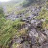 裏越後・荒沢岳～中ノ岳縦走 - 画像 (3)