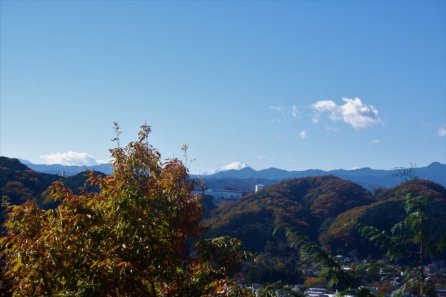 飯能アルプス縦走(天覚山～多峯主山～天覧山)