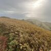伯耆大山＆蒜山三山縦走と国宝・三徳山投入堂 - 画像 (3)