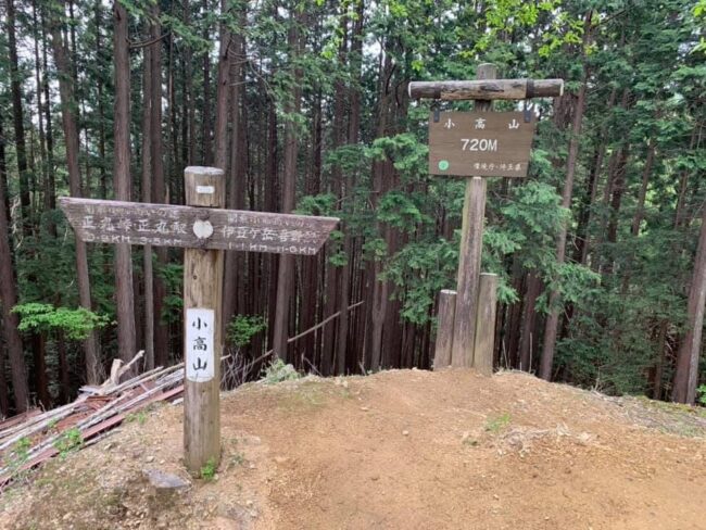 伊豆ヶ岳・東尾根(初級バリエーション)