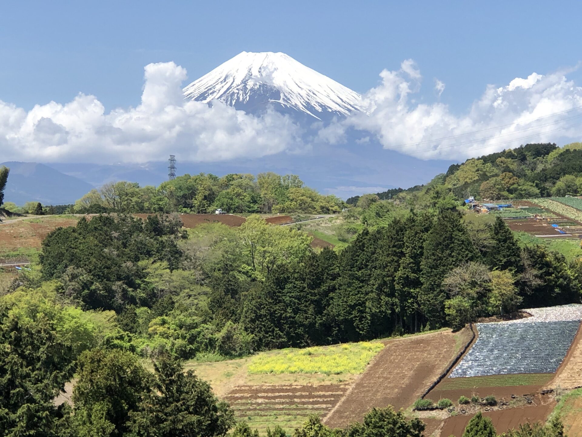 箱根越え・江戸人歩30km踏破