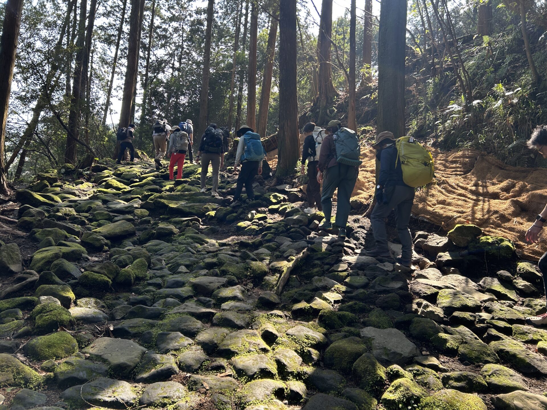 旧東海道箱根越え・江戸人歩30km踏破 - 画像 (5)