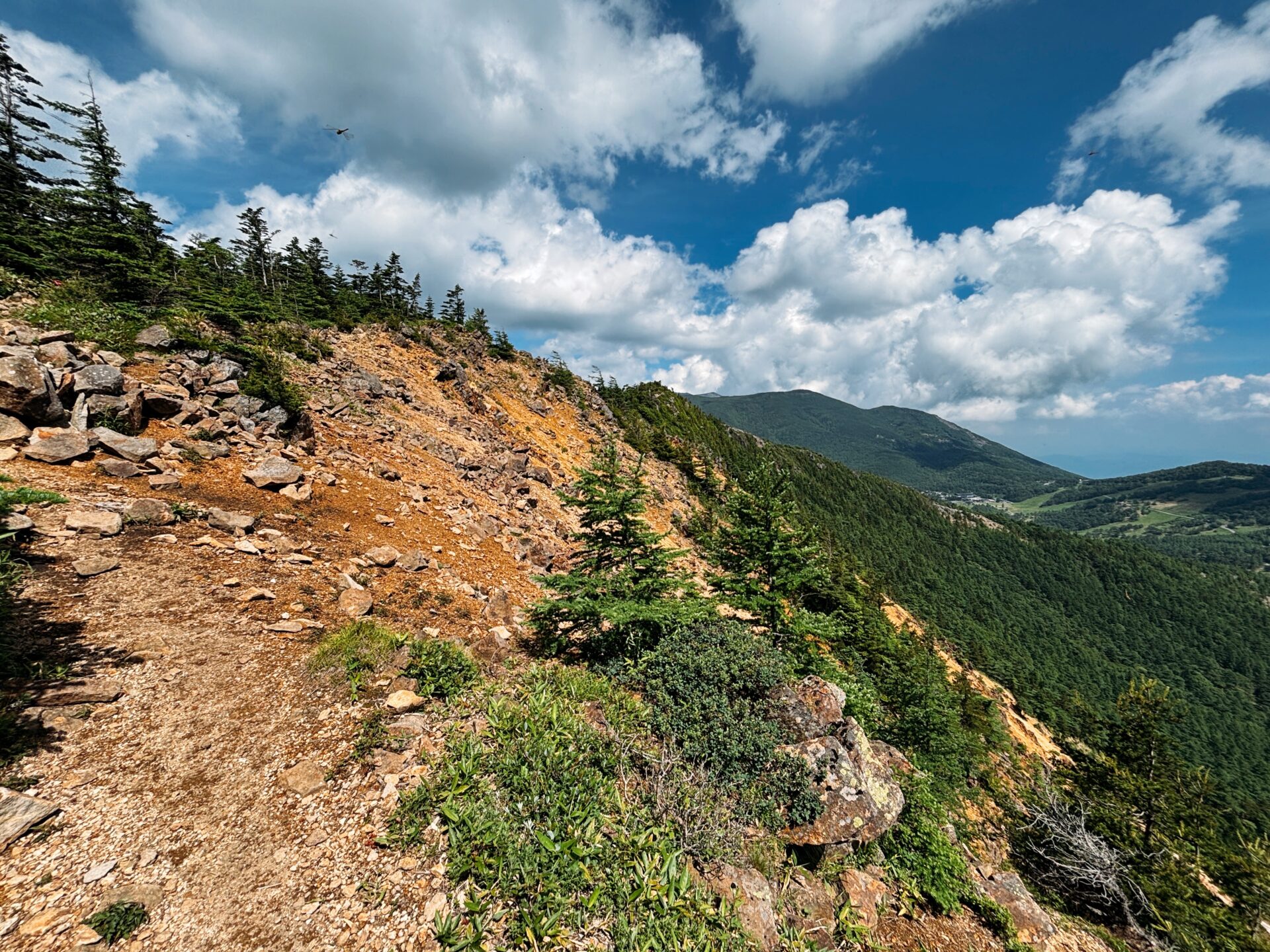 〈レディース登山〉秘湯の鹿沢温泉泊・湯ノ丸山~水ノ塔山 - 画像 (3)