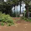 〈レディース登山〉高尾絶品スイーツと春の妖精かたくり - 画像 (2)