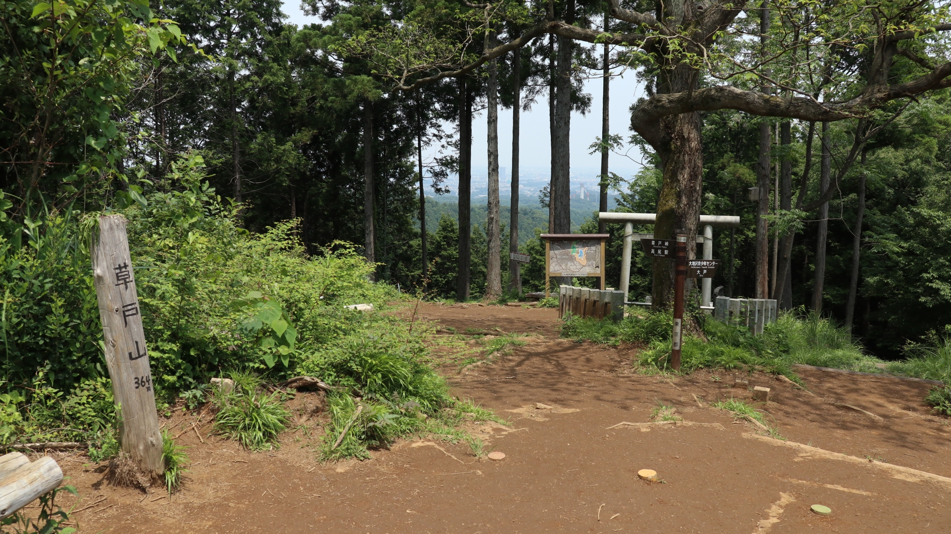 〈レディース登山〉高尾絶品スイーツと春の妖精かたくり - 画像 (2)