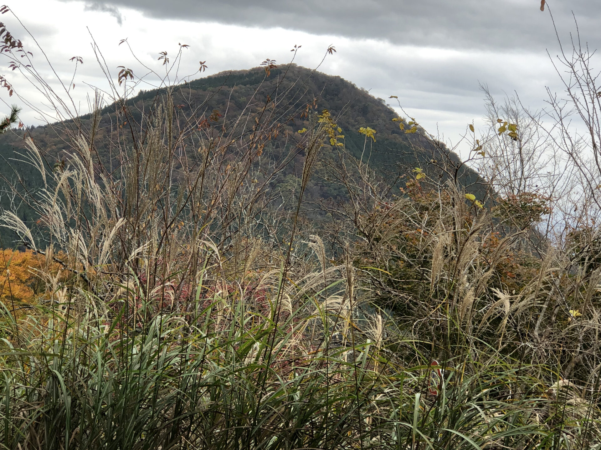 富士三脚・足柄山(矢倉岳)